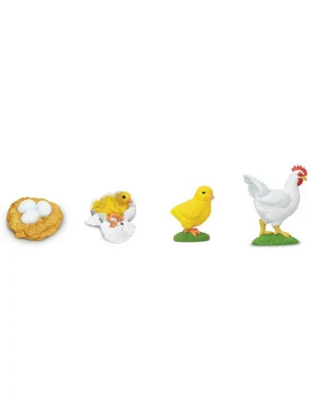 Safari Ltd. Životní cyklus - Kuře