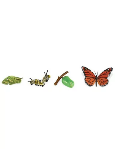 Safari Ltd. Životní cyklus - Motýl