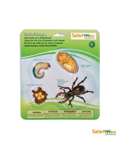 Safari Ltd. Životní cyklus - Brouk Roháč