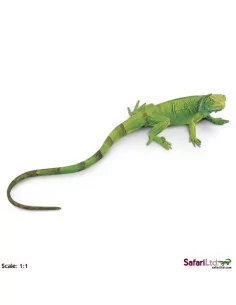 Safari Ltd. Mládě leguána...