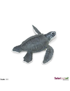 Safari Ltd. Mládě mořské želvy