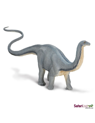 Safari Ltd. Apatosaurus