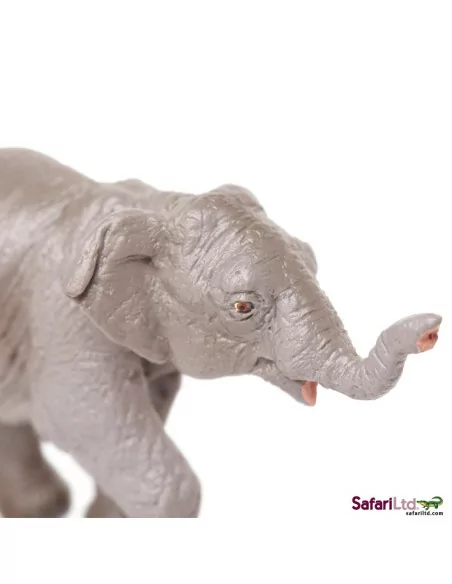 Safari Ltd. Mládě slona indického