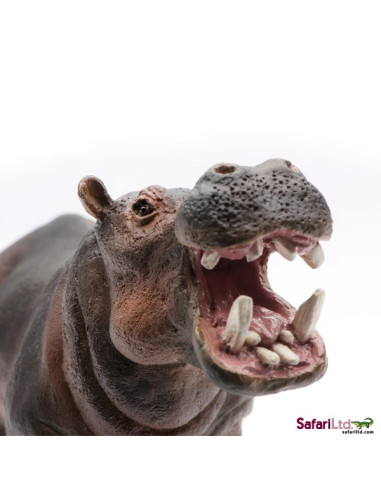 Safari Ltd. Hroch