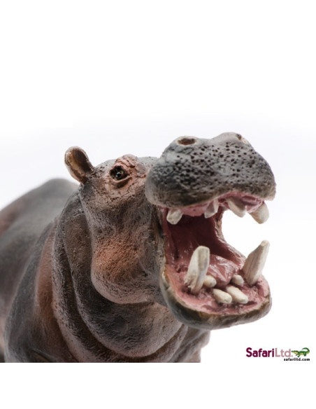 Safari Ltd. Hroch