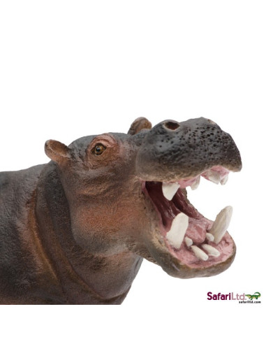 Safari Ltd. Hroch