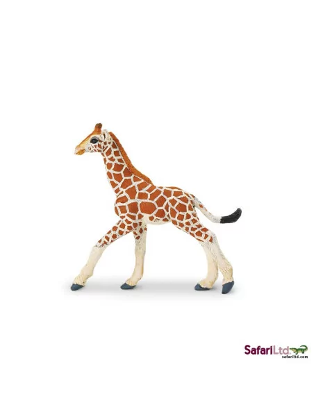 Safari Ltd. Mládě žirafy síťované