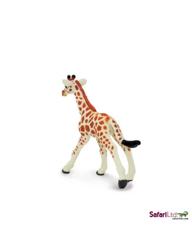 Safari Ltd. Mládě žirafy síťované