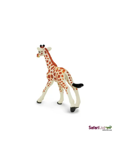 Safari Ltd. Mládě žirafy síťované