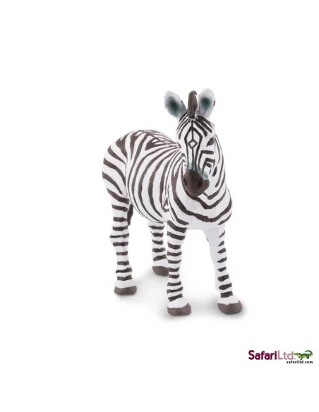 Safari Ltd. Mládě zebry