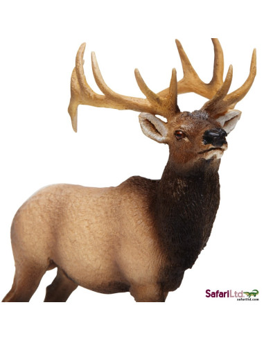 Safari Ltd. Wapiti západní