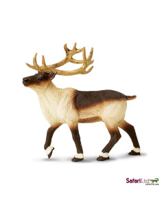 Safari Ltd. Sob