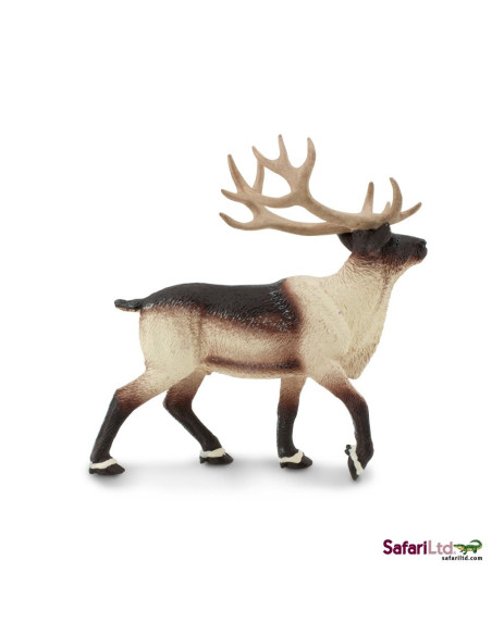 Safari Ltd. Sob