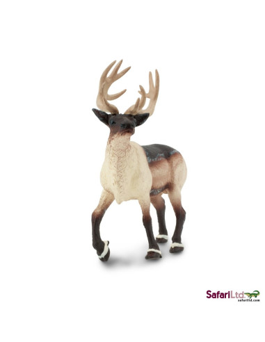 Safari Ltd. Sob