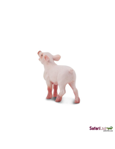 Safari Ltd. Sele