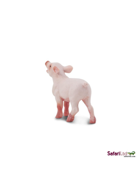 Safari Ltd. Sele