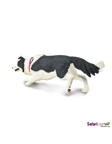 Safari Ltd. Border kolie