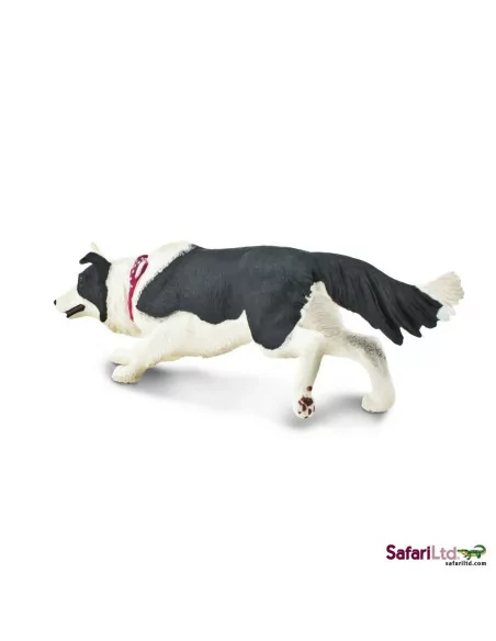 Safari Ltd. Border kolie