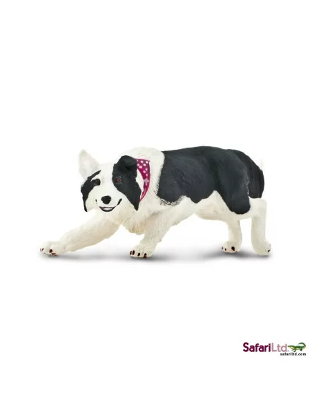 Safari Ltd. Border kolie