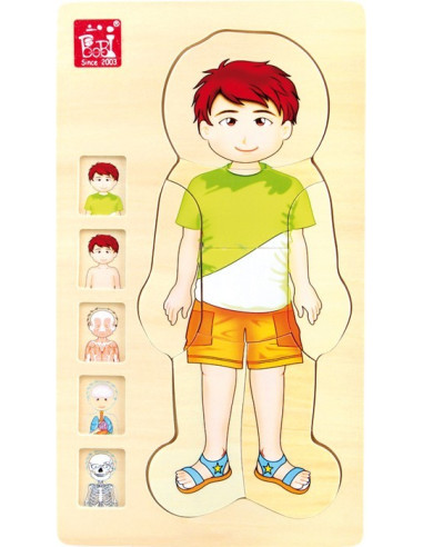 Small Foot Vrstvené puzzle - Anatomie Tim