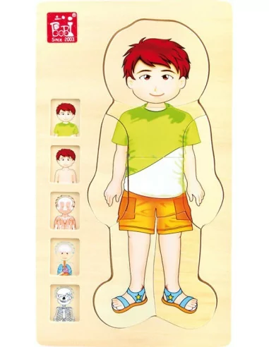 Small Foot Vrstvené puzzle - Anatomie Tim