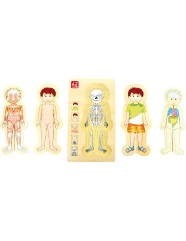 Small Foot Vrstvené puzzle - Anatomie Tim
