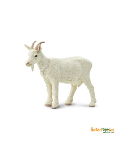 Safari Ltd. Koza domácí...