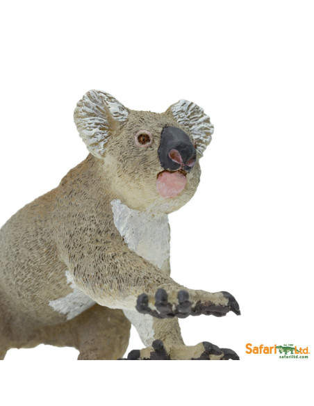 Safari Ltd. Koala