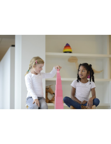 Nienhuis - Růžová věž