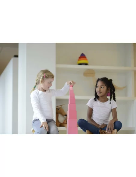 Nienhuis - Růžová věž