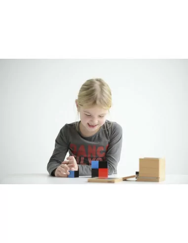 Nienhuis - Binomická krychle