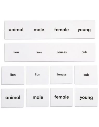 Nienhuis - Rodiny zvířat, v anglickém jazyce