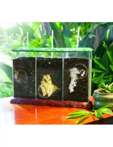 Learning Resources Pozorovací kompostér