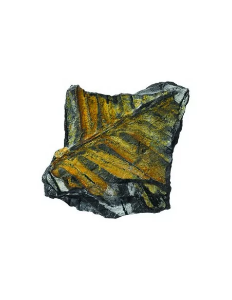 Learning Resources Kolekce fosílií