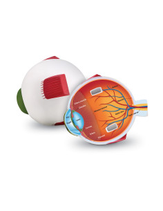 Learning Resources Pěnový...