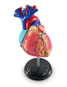 Learning Resources...