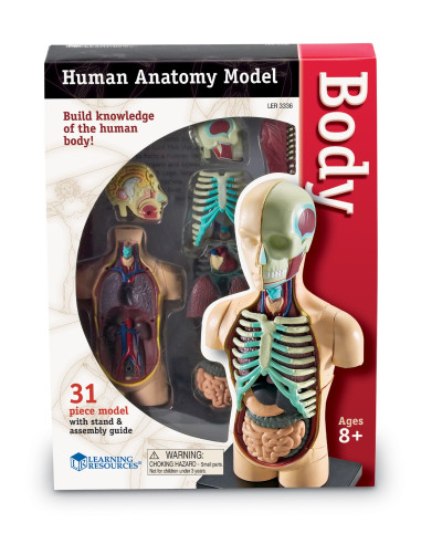 Learning Resources Anatomický model lidského těla