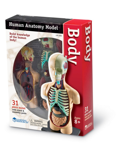 Learning Resources Anatomický model lidského těla