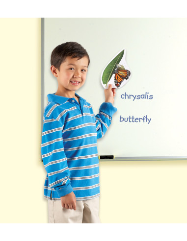 Learning Resources Magnetický životní cyklus - Motýl