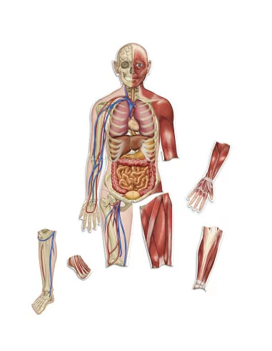 Learning Resources Oboustranné magnetické...