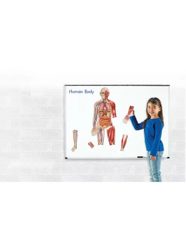 Learning Resources Oboustranné magnetické...