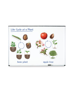 Learning Resources...