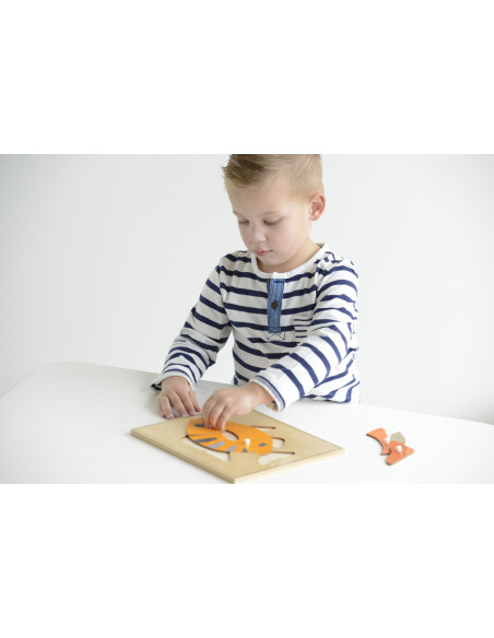 Nienhuis - Puzzle – ryba