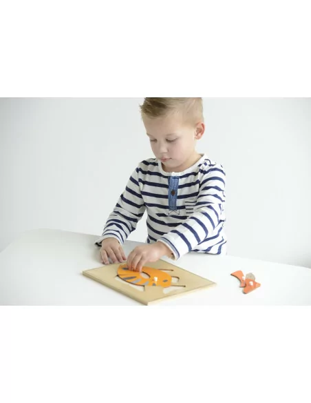 Nienhuis - Puzzle – ryba