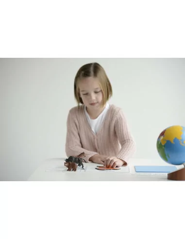 Nienhuis - Glóbus – Barevné kontinenty