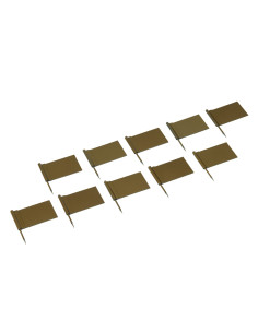 Nienhuis - Zlaté vlaječky...