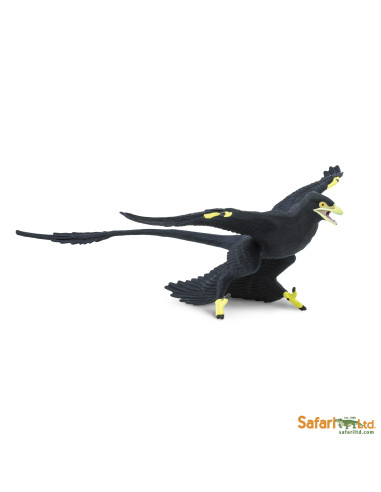 Safari Ltd. Microraptor