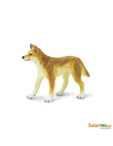 Safari Ltd. Dingo