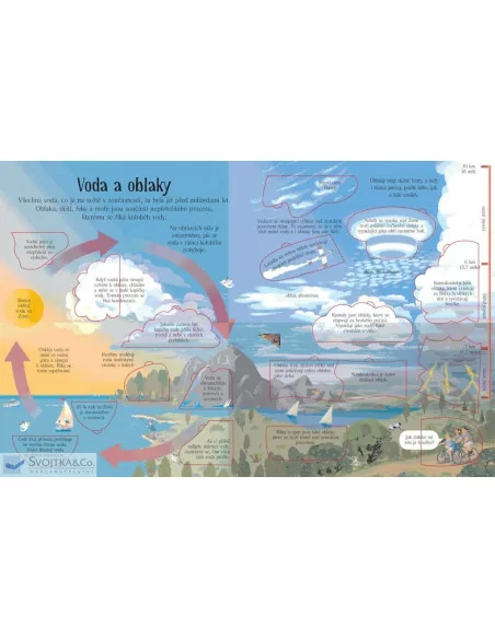 Jak to funguje v přírodě -Katie, Daynes, Russell Tale