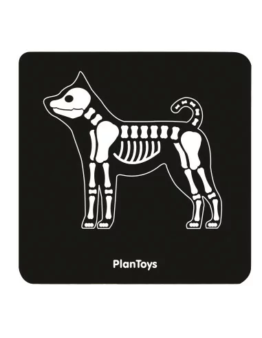 PlanToys Veterinářský set